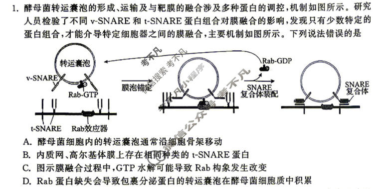 [齐鲁名校大联考]2026届山东省高三第五次学业水平联合检测生物试题