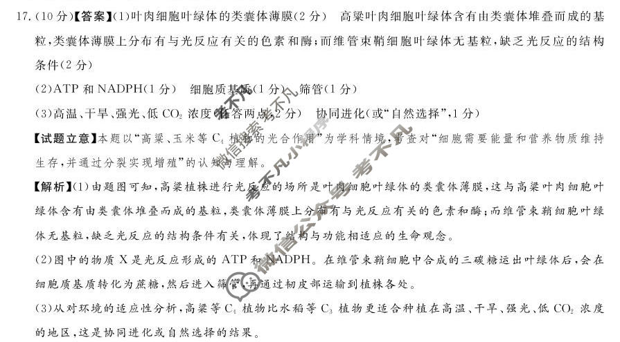 [湘豫名校联考]2026年4月高三下学期质量检测生物答案