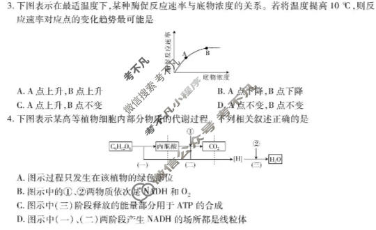 江西省2025-2026学年下学期高一年级第一次段考(4月)生物试题