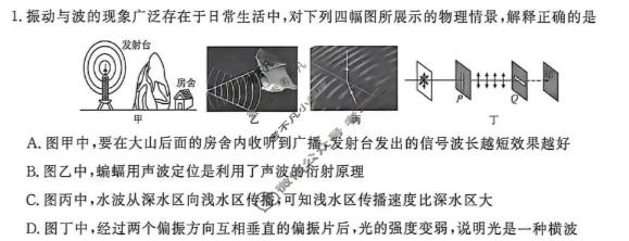 [点石联考]2026届高二年级学情调研(4月)物理试题