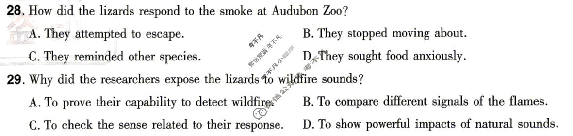 [金考卷·百校联盟]2026届8省名师联合命制高考最后一卷(五)5英语试题