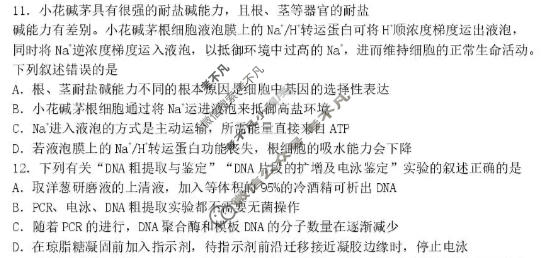 丹东市2026届高三总复习质量测试(一)生物试题