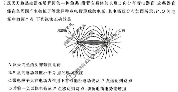 [百师联盟]2025-2026学年高三年级第三次诊断考试物理试题