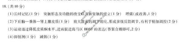 [天一大联考]湖南省2025-2026学年高三4月联考(HUN202604)生物答案