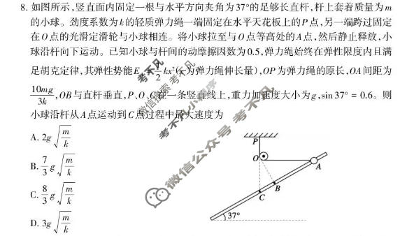 山东省泰安市2025-2026学年高三二轮检测(4月)物理试题