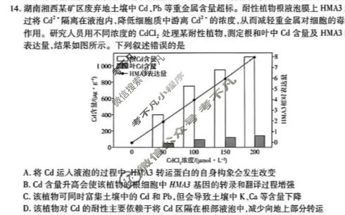 [天一大联考]湖南省2025-2026学年高三4月联考(HUN202604)生物试题