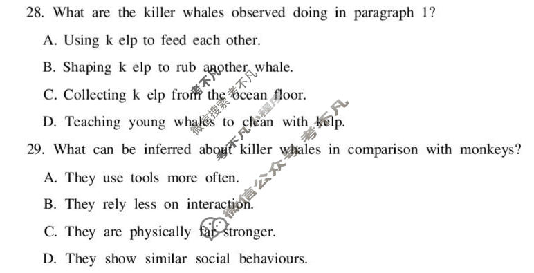 淮北市2026届高三第二次质量检测(4月)英语试题