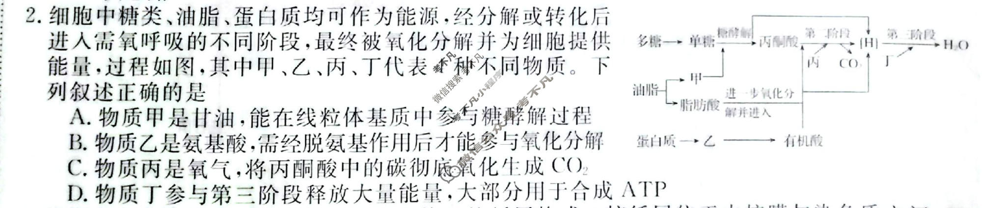 高三2026普通高等学校招生全国统一考试·冲刺压轴卷(二)2生物N试题