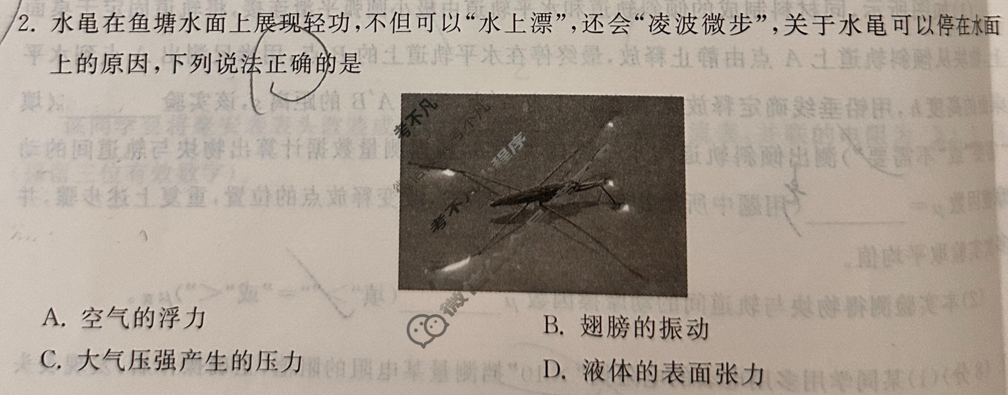[天舟益考衡中同卷]2026年普通高中学业水平选择性考试模拟调研卷物理HJ(五)5试题