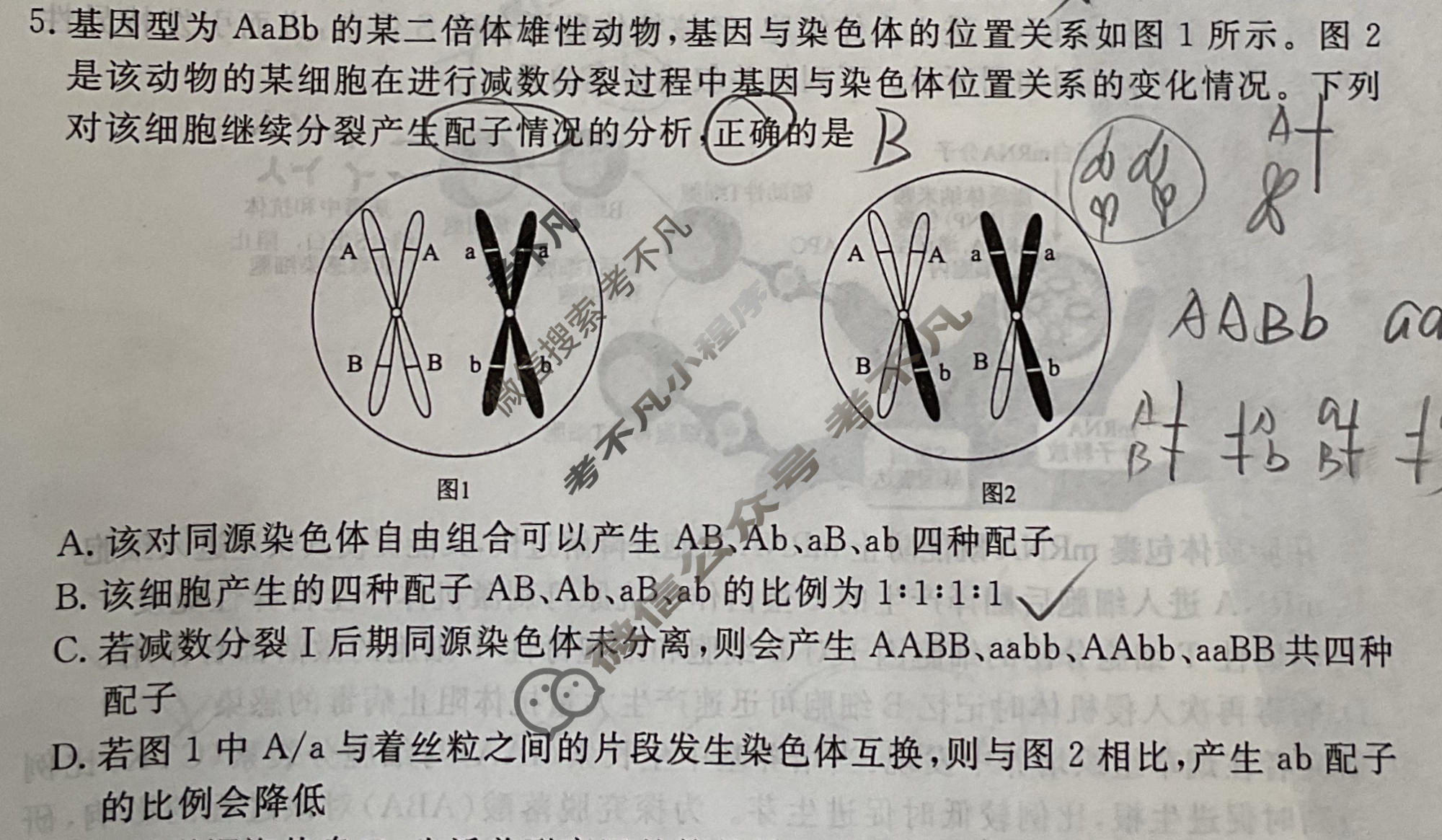 [衡水金卷]2026年学科素养评价练习(三)3生物(Y)试题