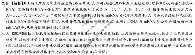[炎德英才大联考]2026届高三4月联考(LD4)生物答案