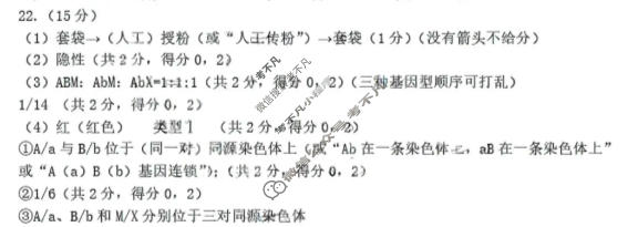 济南市2026届高三第二次模拟考试(4月)生物答案