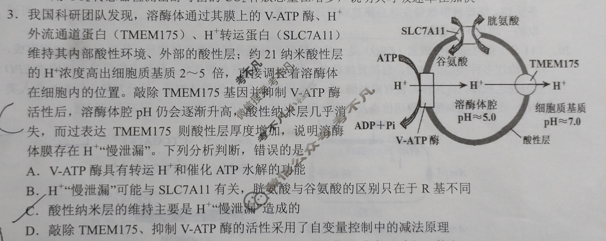 淮南市2026届高三第二次教学质量检测(4月)生物试题