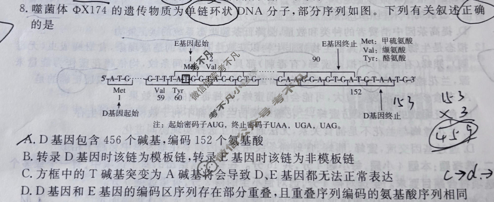高三2026普通高等学校招生统一考试冲刺卷HN(四)4生物试题