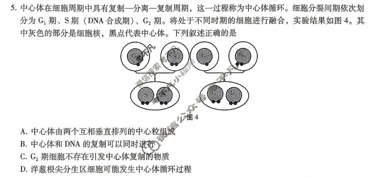 巴蜀中学2026届高三适应性月考(八)(黑黑黑白白白黑黑)生物试题