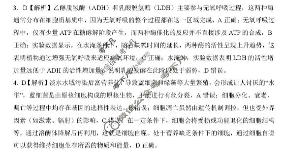 [百师联盟]2026年4月酒泉市高三年级调研考试生物答案