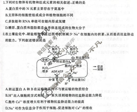 [百师联盟]2026年4月酒泉市高三年级调研考试生物试题