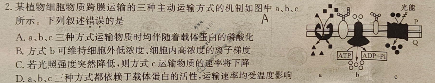 [全国名校大联考]2025~2026学年高三第八次联考(月考)试卷生物试题