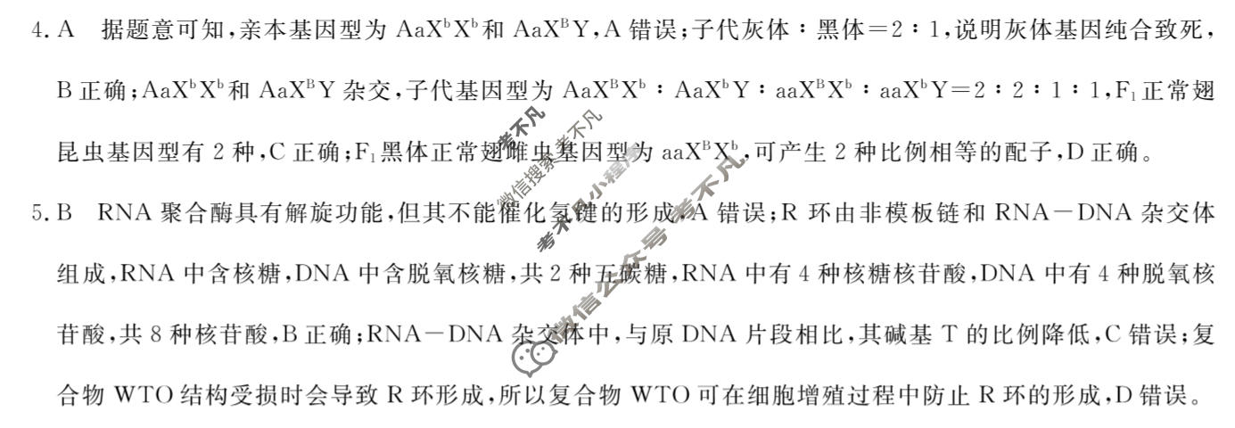 高三2026普通高等学校招生全国统一考试·冲刺压轴卷(四)4生物N答案