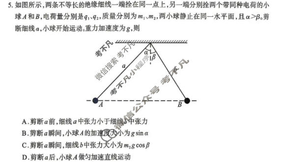 德阳市2026届高三年级适应性练习物理试题