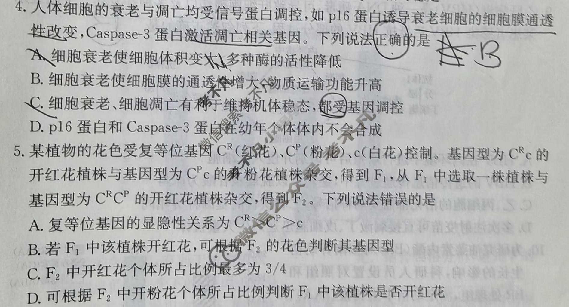 2026年普通高中学业水平选择性考试高考模拟示范卷·生物学(九)9[26·(新高考)ZX·MNJ·生物学·SSQN]试题