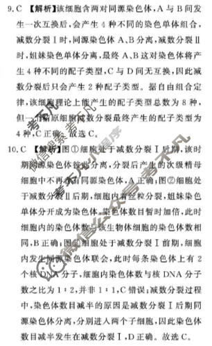 [青桐鸣]普通高中2025-2026学年(下)高一年级期中考试生物答案