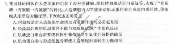 德阳市2026届高三年级适应性练习生物试题