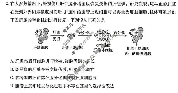 内蒙古2026年普通高等学校招生全国统一考试(二模第二次考试)(4月)生物试题