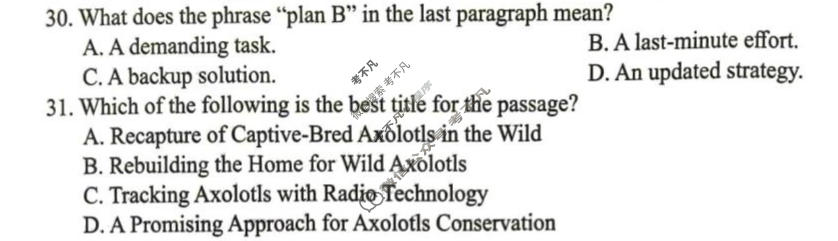广西2026年高中毕业班教学质量调研(4月)英语试题