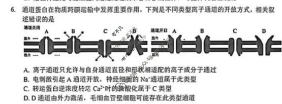 大湾区2026届高三模拟测试(二)2生物试题