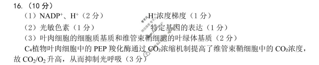 绵阳市2026年高三高考适应性考试生物答案