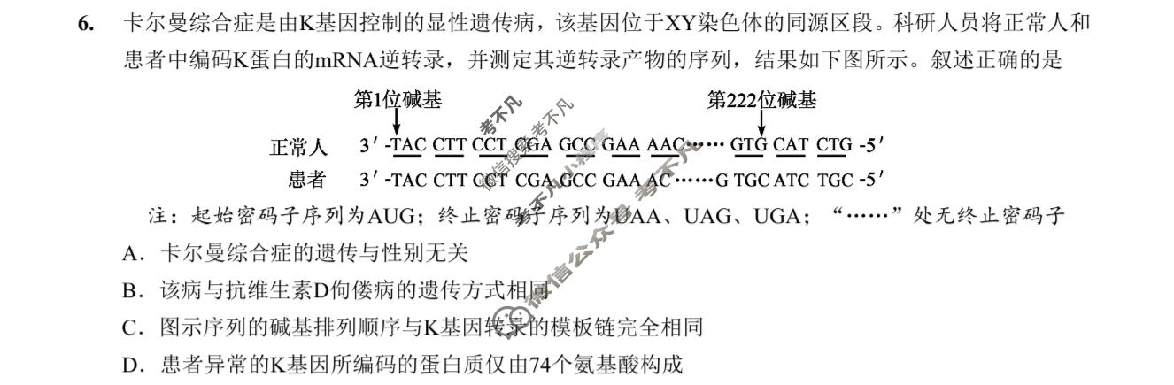 重庆一中高2026届高三二诊(4月)生物试题