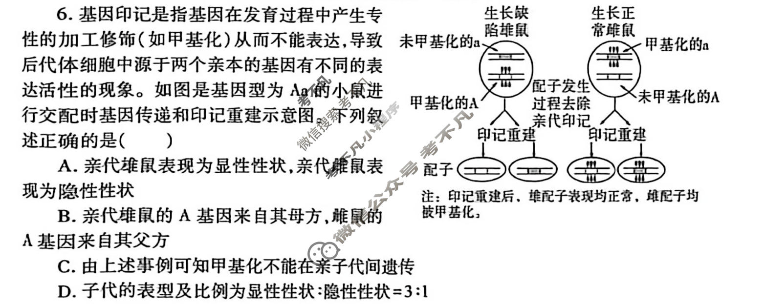 高三2026届陕西省高考适应性检测(三)3生物试题