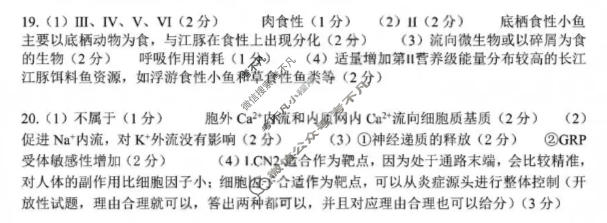 2026年深圳市高三年级第二次调研考试(4月)生物答案