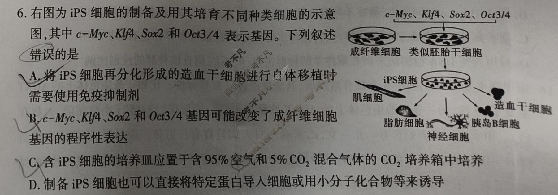 榆林市2026届高三年级四月检测训练生物试题