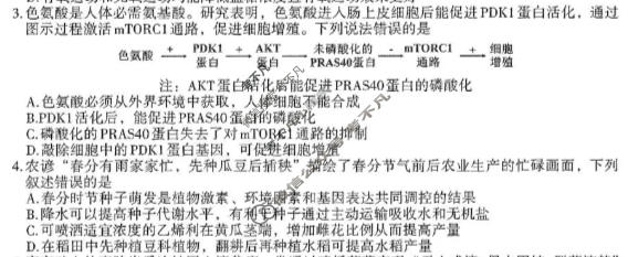 南昌市2026届高三年级四月检测生物试题