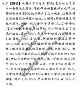 [真题密卷]2025-2026学年度考前冲顶实战演练(一)1生物1答案