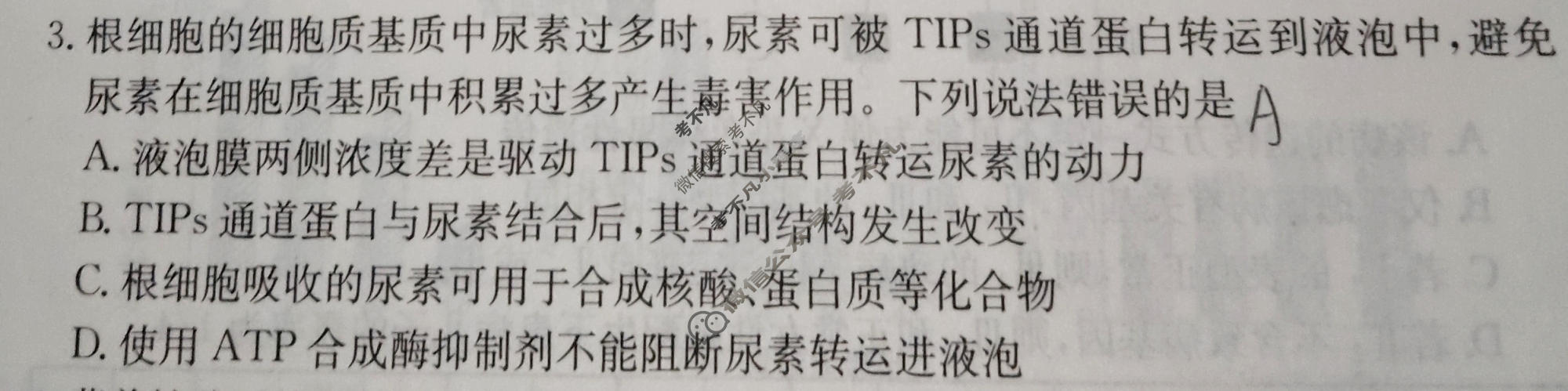 2026年广西普通高中学业水平选择性考试高考模拟示范卷·生物学(七)7[26·(新高考)ZX·MNJ·生物学·GX]试题