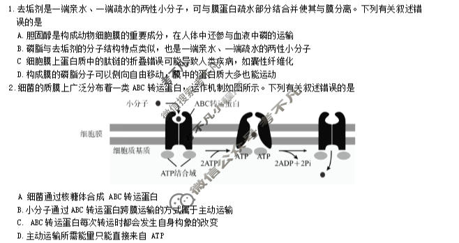 炎德英才大联考(Q10)长沙市一中2026届高三月考试卷(十)10生物试题