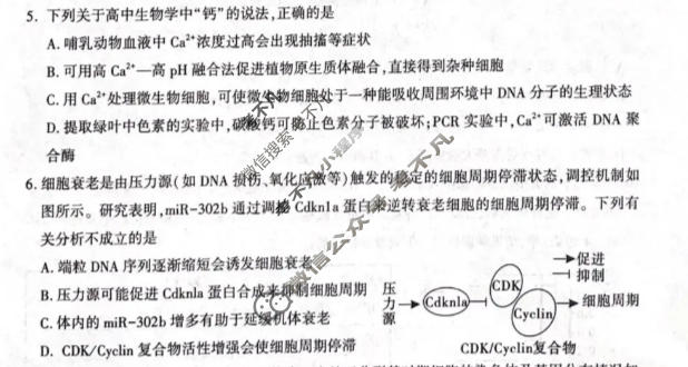 咸阳市2026届高考模拟检测(4月)生物试题