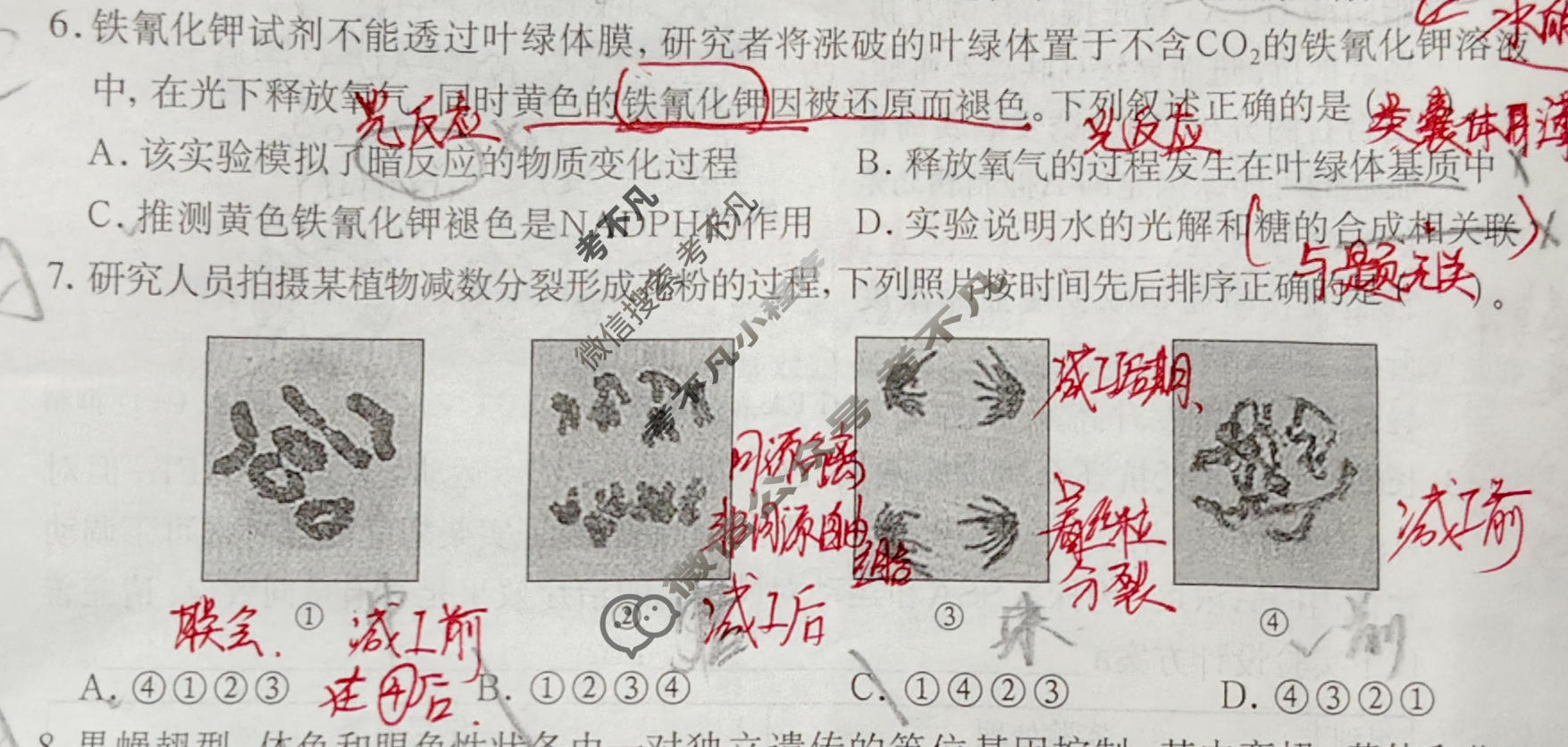 广西名校高考素养评估联合调研[2026广西名校卷第7套]生物试题