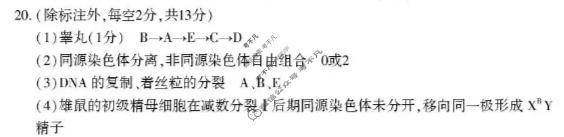 洛阳市2025-2026学年第二学期高一期中考试生物答案