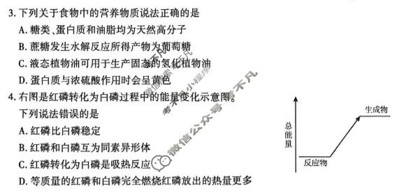 洛阳市2025-2026学年第二学期高一期中考试化学试题