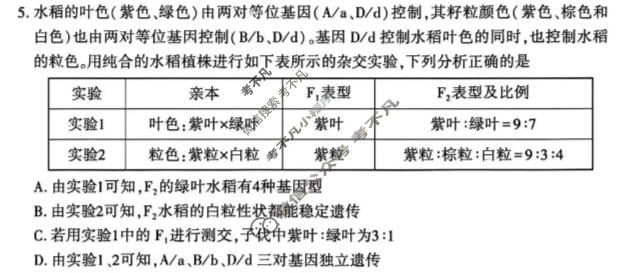 洛阳市2025-2026学年第二学期高一期中考试生物试题