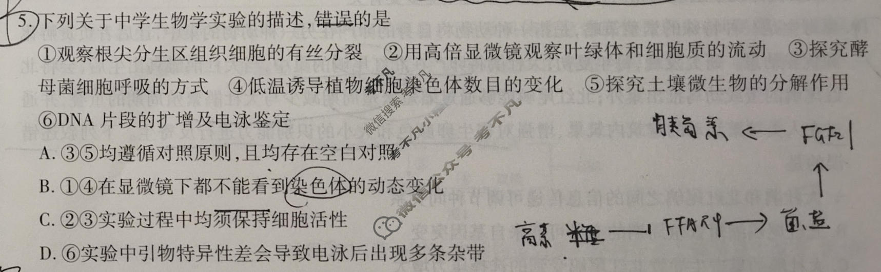 [天一大联考]高三2026届高考全真模拟卷(三)3生物(专版)试题
