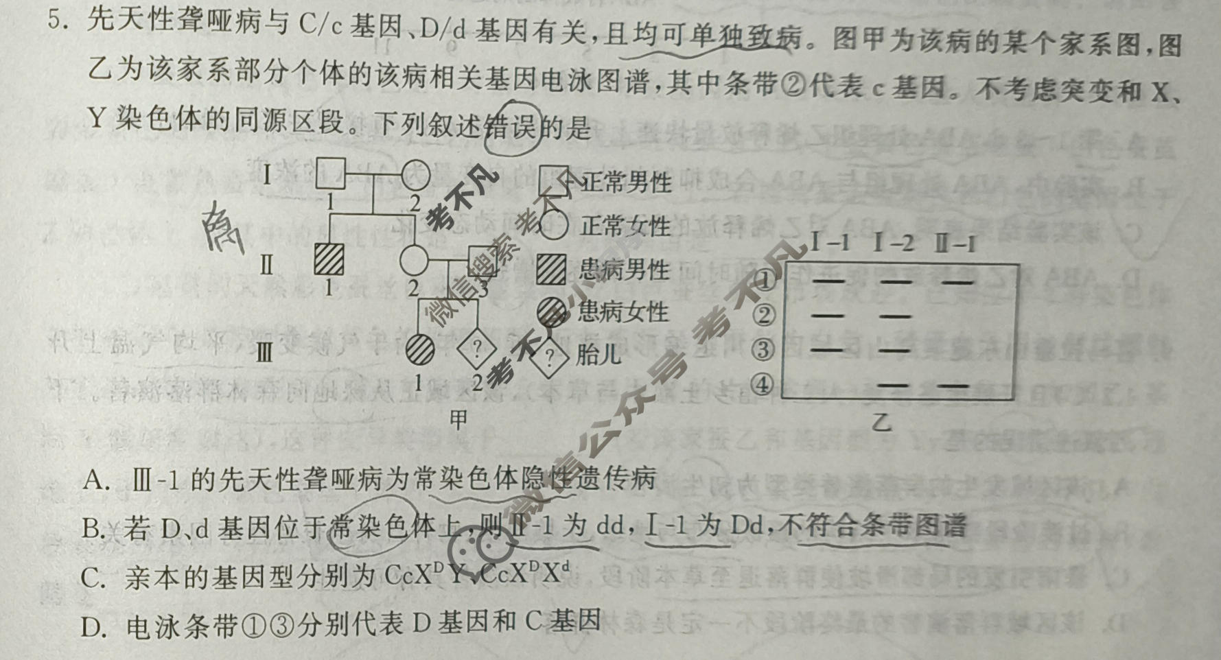 [天舟益考衡中同卷]2026年普通高中学业水平选择性考试模拟信息卷(六)6·生物(JY)试题