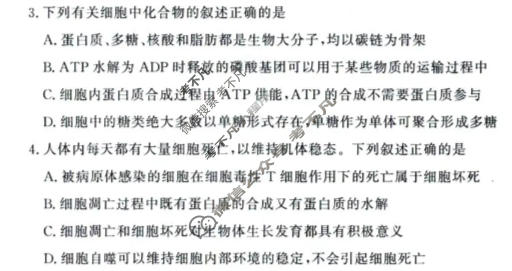 [青桐鸣]普通高中2025-2026学年(下)高三年级4月联考生物试题