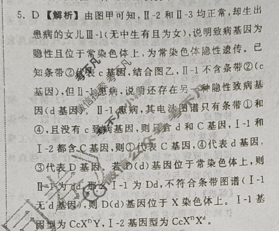 [天舟益考衡中同卷]2026年普通高中学业水平选择性考试模拟信息卷(六)6·生物(JY)答案