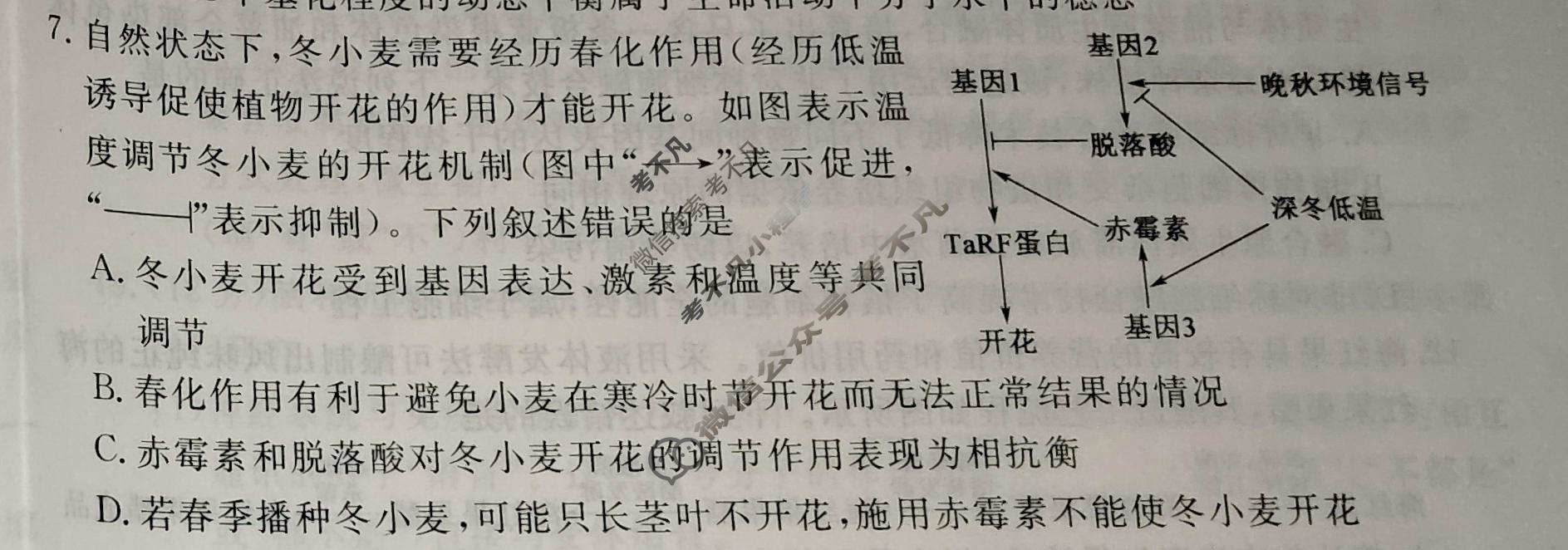 [黄冈八模·文海]2026届高三大练习(一)1生物(GD)试题