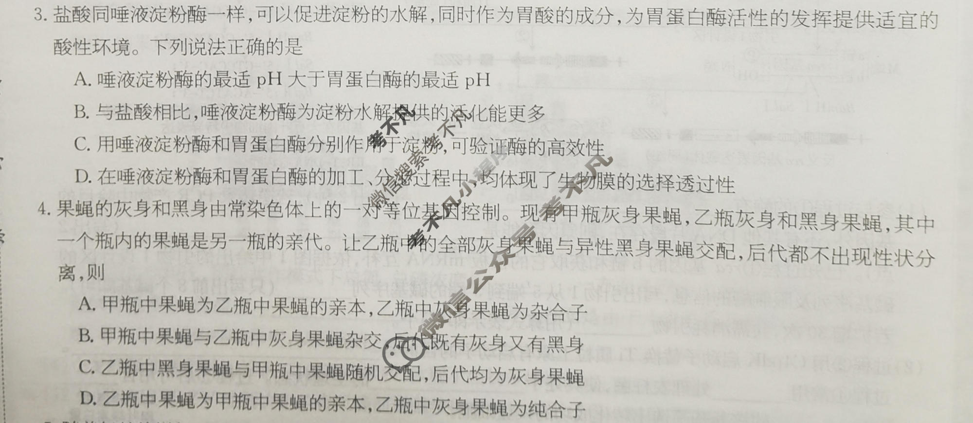 高三2025~2026学年核心突破(二十)20生物GS试题